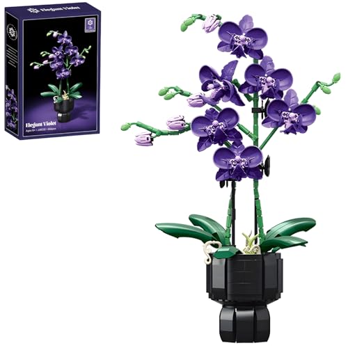 PlayExquizen Orchidee Blumen Klemmbausteine, 666 Teile Künstliche Orchideen Blumen Bausteine Bausatz Modell, Blumenstrauß Botanische Büro Heim Dekoration, Geschenk für Frauen und Mädchen von PlayExquizen