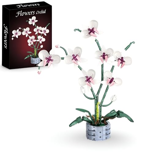 Botanicals Orchidee Bausteine, 536 Teile Botanik Orchidee Klemmbausteine, DIY Kunstblumen Pflanzenstrauß Bausteine Bausatz Modell, Haus Büro Deko Geschenk für Frauen Mädchen von PlaySynthe