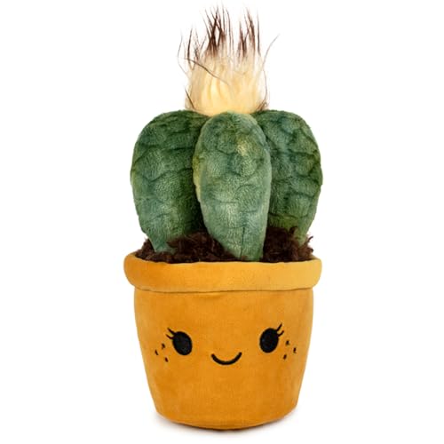 Playbyplay Soft Garden Plüschtier, Verdi-Kaktus, 20 cm, orange von Playbyplay
