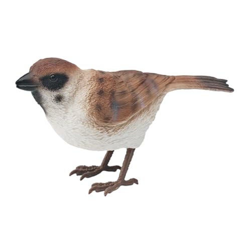 Pleayietoopiatiey Simulation Vogelfiguren Spielzeug Miniaturvögel Dekor für Zuhause Geburtstag Supplies Spatz Pleayietoopiatiey Simulation Vogelfiguren Spielzeug Miniaturvögel Dekor für Zuhause Geburtstag Supplies Spatz von Pleayietoopiatiey