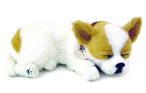 Plenty Gifts Perfect Petzzz - 4906 - Plüsch - Chihuahua von Plenty Gifts