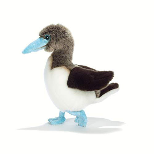 Plüsch & Company 15878 Sula Blue-feet Marine Vogel Weiches Spielzeug, 23 cm Plüsch & Company 15878 Sula Blue-feet Marine Vogel Weiches Spielzeug, 23 cm von Plush & Company