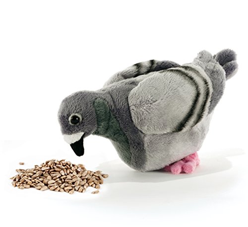 Plüsch & Company & company15826 23 cm Farm Claude Le Taube Plüsch Spielzeug Plüsch & Company & company15826 23 cm Farm Claude Le Taube Plüsch Spielzeug von Plush & Company