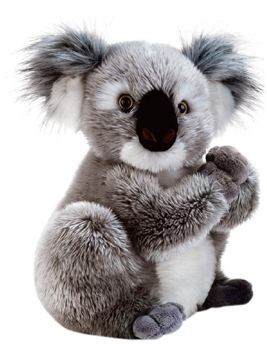 Plüschtier Koala Koline - 22 cm von Plush & Company