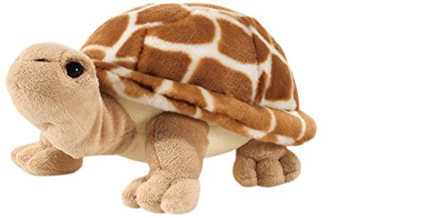 Plush & Company – 15764 – Plüsch – Shinobi Schildkröte – 28 cm Plush & Company – 15764 – Plüsch – Shinobi Schildkröte – 28 cm von Plush & Company