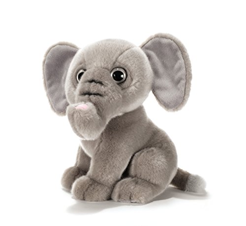 Plush & Company EJ-8029956158384 Surus Elefant H 23 cm Tier Wald Plüschtiere Spielzeug 370, Mehrfarbig Plush & Company EJ-8029956158384 Surus Elefant H 23 cm Tier Wald Plüschtiere Spielzeug 370, Mehrfarbig von Plush & Company