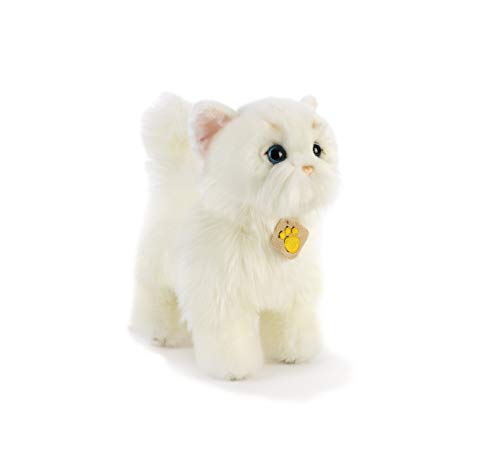 Plush & -Whitty Katze Weiß 28 cm Plüschtier Katzen, Mehrfarbig, 8029956159459 von Plush & Company