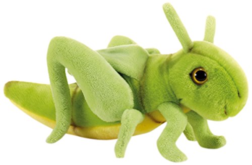 Plüsch Plüschtiere & Company 15847 – – BEPI Grillo Kresse – 30 cm von Plush & Company