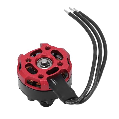 Plyisty Bürstenloser Motor, Sturzsicherer RC-Motor Zur Reparatur Plyisty Bürstenloser Motor, Sturzsicherer RC-Motor Zur Reparatur von Plyisty