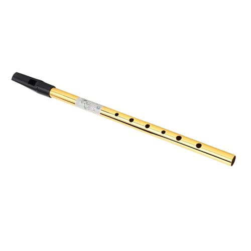 Plyisty Irish Whistle Flöte, Klarer Sound Metal Wind Musical Genaues Tuning 6 Löcher Pfeife Flöte Tragbar für Anfänger (C Melodie) von Plyisty