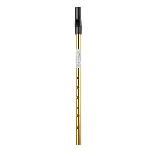 Plyisty Irish Whistle Flöte, Klarer Sound Metal Wind Musical Genaues Tuning 6 Löcher Pfeife Flöte Tragbar für Anfänger (D Tune) von Plyisty