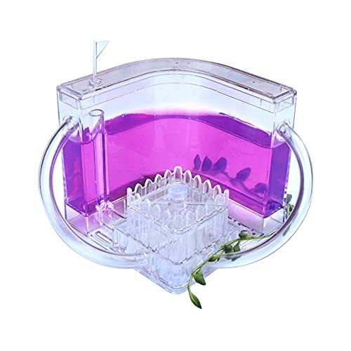 Ameisenfarm Ameisen Schloss, Ameisennest Ameisen Lebensraum Beobachtungsset, Acryl Ameisen Haus Ameisen Terrarium mit Gel Ökosystem, Naturwissenschaft Pädagogisches Lernspielzeug für Kinder Ameisenfarm Ameisen Schloss, Ameisennest Ameisen Lebensraum Beobachtungsset, Acryl Ameisen Haus Ameisen Terrarium mit Gel Ökosystem, Naturwissenschaft Pädagogisches Lernspielzeug für Kinder von Pomurom