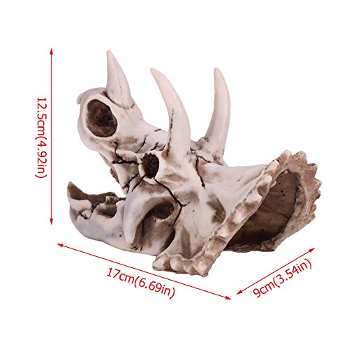Pongnas Dinosaurierschädel Model Triceratops Skeleton Office 17 * 9 * 12,5 cm von Pongnas