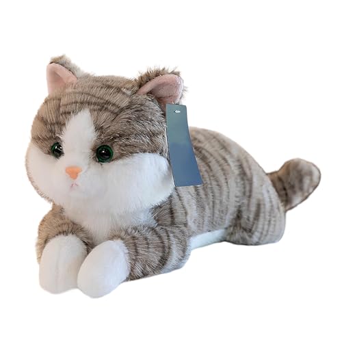 Poo4kark Beschwertes Katzen-Stofftier, realistisches ausgestopftes Katzenspielzeug, Dekokissen, grau, beschwerte Stofftiere für Kinder Erwachsene (Grey, 45cm) von Poo4kark