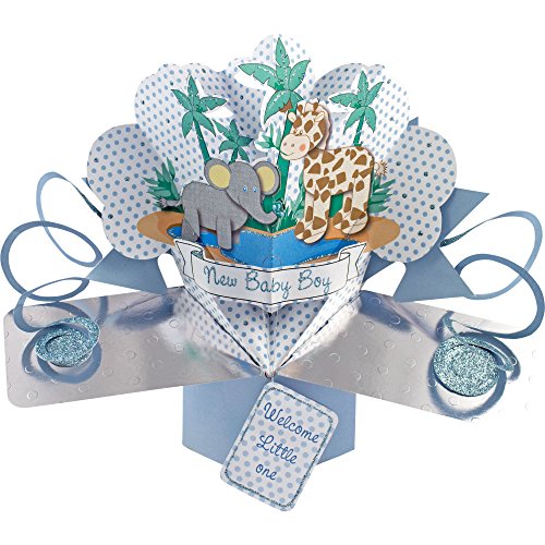 Pop-Up Card 19422 3D Pop Up Gruβkarte Jungle Friends Baby Boy, Grafik, Multicoloured, 13 x 21 x 19 cm Pop-Up Card 19422 3D Pop Up Gruβkarte Jungle Friends Baby Boy, Grafik, Multicoloured, 13 x 21 x 19 cm von Suki Gifts