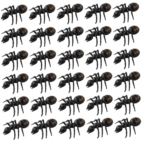 Plastic Ants 30PCS Realistic Ants Black Prank Toys for Halloween Party Favors Decoration Props Plastic Ants 30PCS Realistic Ants Black Prank Toys for Halloween Party Favors Decoration Props von Porgeel