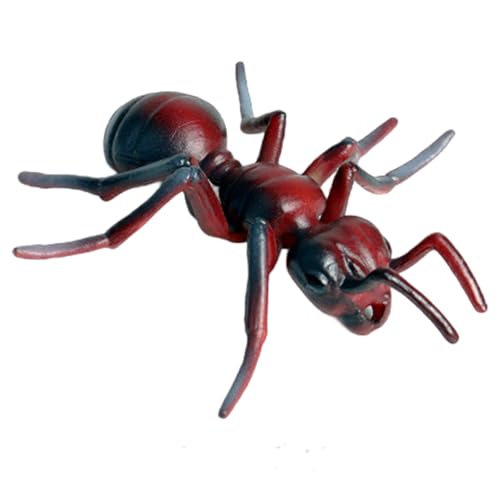 Porgeel Kunststoffameisen, realistische Tierfiguren, gefälschte Ameisenwachstumszyklus, Wissenschaftsprojekt Frühes Bildungsspielzeug Porgeel Kunststoffameisen, realistische Tierfiguren, gefälschte Ameisenwachstumszyklus, Wissenschaftsprojekt Frühes Bildungsspielzeug von Porgeel