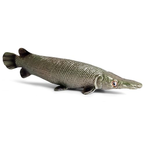 Porgeel Sea Animal Toys Realistic Plastic Fish Tierfiguren Simulierte Ozeanspielzeugmodell Dekoration Frühes Bildungs Meer Kreaturen Spielzeug für Kinder Kleinkinder Porgeel Sea Animal Toys Realistic Plastic Fish Tierfiguren Simulierte Ozeanspielzeugmodell Dekoration Frühes Bildungs Meer Kreaturen Spielzeug für Kinder Kleinkinder von Porgeel