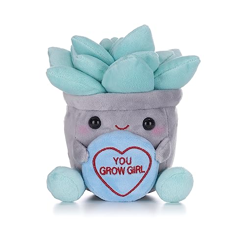 Posh Paws Swizzels Love Hearts You Grow Girl Sukkulenten-Blumentopf, Pflanze, Plüschtier, 18 cm von Posh Paws
