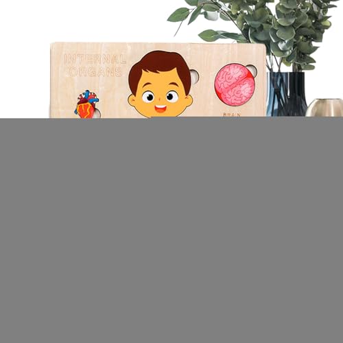 Anatomie Für Kinder,Pädagogisches Holzpuzzle Vom Menschlichen Körper - Frühpädagogisches Lernspielzeug Für Kinder Und Jugendliche Mädchen von Poupangke