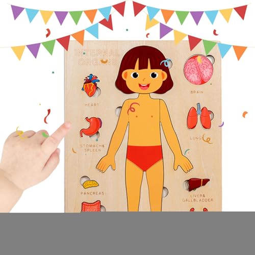 Körperteile Für Kinder | Holz Lernspielzeug Menschliche Körperteile | Wissenschaftliches Spielzeug Für Kleinkinder Und Kinder Mädchen Kindergarten Schule Unterricht Körperteile Für Kinder | Holz Lernspielzeug Menschliche Körperteile | Wissenschaftliches Spielzeug Für Kleinkinder Und Kinder Mädchen Kindergarten Schule Unterricht von Poupangke