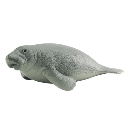Poupangke Polare Tiere Spielzeug, antarktische Tiere Figuren, Polares Säugetier realistisches Modell, Lieferung von Hausversammlungen, Dekoration, Model -Landschafts -Kit für Bildungsausstellungen Poupangke Polare Tiere Spielzeug, antarktische Tiere Figuren, Polares Säugetier realistisches Modell, Lieferung von Hausversammlungen, Dekoration, Model -Landschafts -Kit für Bildungsausstellungen von Poupangke