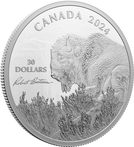Power Coin Bison Weather Watch Silber Münze 30$ Canada 2024 von Power Coin