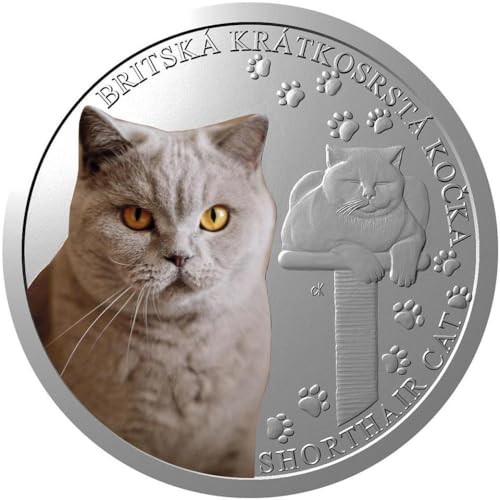 Power Coin British Shorthair Cat Breeds 1 Oz Silber Münze 1$ Niue 2024 von Power Coin