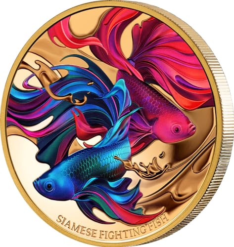 Power Coin Siamese Fighting Fish 1 Oz Gold Münze 100$ Niue 2024 von Power Coin