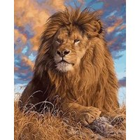 Diamond Painting Löwe 40x30 cm von Pracht Creatives Hobby GmbH