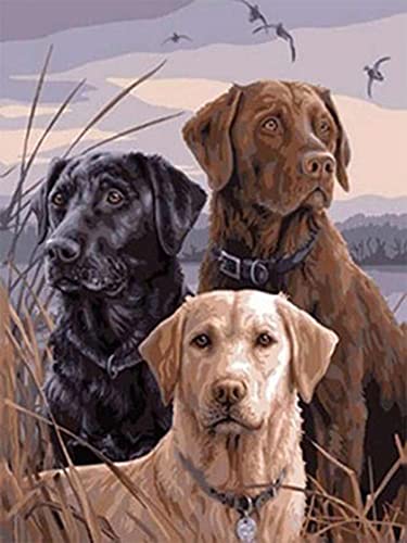 Diamond Painting Set, Bild mit Motiv Hunde und Zubehör, Größe ca. 35 x 25 cm, Bastelset zum Malen mit Glitzersteinchen für Kinder ab 5 Jahren von Pracht Creatives Hobby