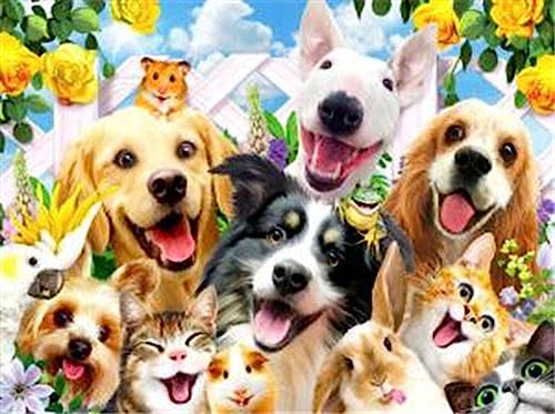 Diamond Painting Set, Bild mit Motiv Tierisches Selfie und Zubehör, Größe ca. 35 x 25 cm, Bastelset zum Malen mit Glitzersteinchen für Kinder ab 5 Jahren Diamond Painting Set, Bild mit Motiv Tierisches Selfie und Zubehör, Größe ca. 35 x 25 cm, Bastelset zum Malen mit Glitzersteinchen für Kinder ab 5 Jahren von Pracht Creatives Hobby