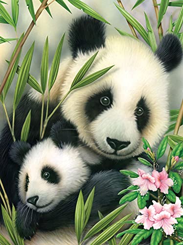 Pracht Creatives Hobby nach Zahlen - Junior "Panda", DIY Bild ca. 33 x 24 cm groß, inkl. 7 Acryl-Farben, Pinsel und bedrucktem Malkarton, ideal für Anfänger und Kinder ab 8 Jahre 4670-30061 Mehrfarbig von Pracht Creatives Hobby