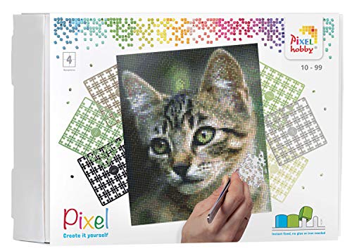 Pixel P090034 Geschenkverpackung Katze, Pixelbild ca. 20,3 x 25,4 cm groß, kinderleichtes Stecksystem, ohne Bügeln und Kleben, Steinchen aus Biokunststoff, ideal für Kinder Pixel P090034 Geschenkverpackung Katze, Pixelbild ca. 20,3 x 25,4 cm groß, kinderleichtes Stecksystem, ohne Bügeln und Kleben, Steinchen aus Biokunststoff, ideal für Kinder von Pracht Creatives Hobby