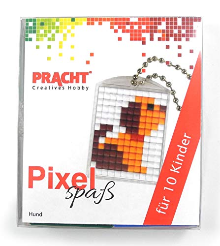 Pixel P90058-02501 Spaß Bastelset Hund, mit 10 Medaillons zum Pixeln, einfaches Stecksystem ohne Bügeln und Kleben, für Kindergeburtstag, Bastelnachmittag, Schulen und Kitas Pixel P90058-02501 Spaß Bastelset Hund, mit 10 Medaillons zum Pixeln, einfaches Stecksystem ohne Bügeln und Kleben, für Kindergeburtstag, Bastelnachmittag, Schulen und Kitas von Pracht Creatives Hobby