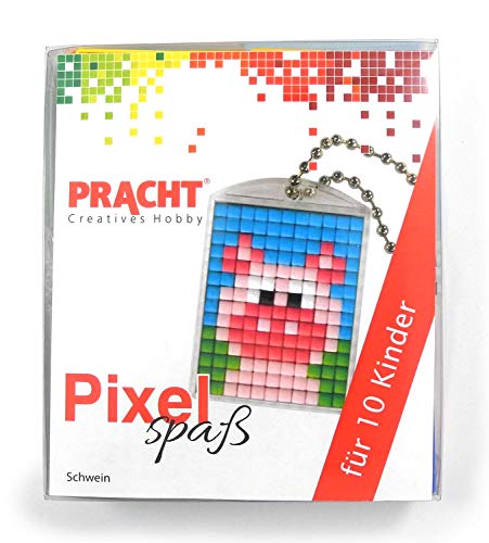 Pixel P90058-05501 Spaß Bastelset Schwein, mit 10 Medaillons zum Pixeln, einfaches Stecksystem ohne Bügeln und Kleben, für Kindergeburtstag, Bastelnachmittag, Schulen und Kitas Pixel P90058-05501 Spaß Bastelset Schwein, mit 10 Medaillons zum Pixeln, einfaches Stecksystem ohne Bügeln und Kleben, für Kindergeburtstag, Bastelnachmittag, Schulen und Kitas von Pracht Creatives Hobby