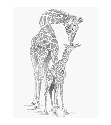 Royal & Langnickel - Sketching - Skizzieren leicht gemacht für Kinder ab 8 Jahren, das Bild mit Giraffe und Baby bietet den idealen Einstieg ins ausdrucksstarke Zeichnen von Pracht Creatives Hobby