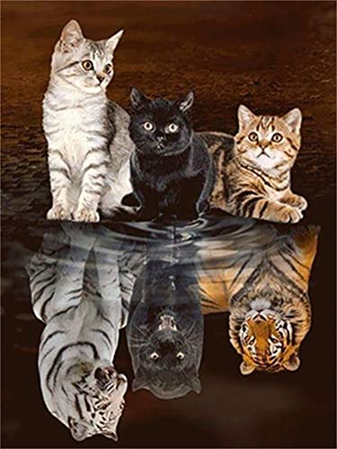 Diamond Painting Set, Bild mit Motiv Drei Katzen und Zubehör, Größe ca. 25 x 35 cm, Bastelset zum Malen mit Glitzersteinchen für Kinder ab 5 Jahren von Pracht Creatives Hobby