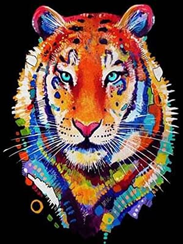 Pracht Creatives Hobby Diamond Painting Set, Bild mit Motiv Tiger und Zubehör, Größe ca. 35 x 25 cm, Bastelset zum Malen mit Glitzersteinchen für Kinder ab 5 Jahren von Pracht Creatives Hobby