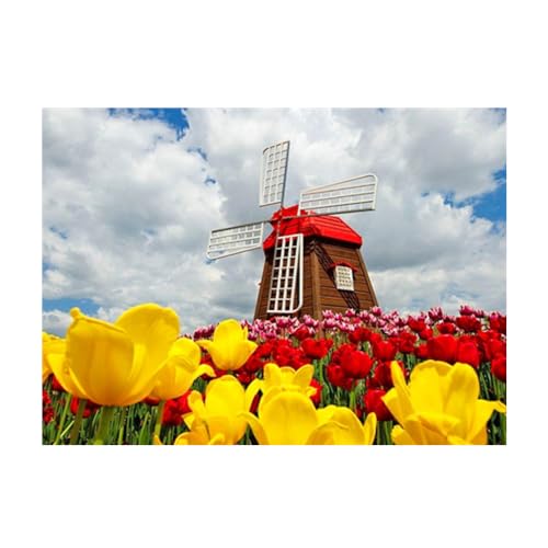 Pracht Creatives Hobby Diamond Painting Set, Bild mit Motiv Windmühle und Zubehör, Bastelset zum Malen mit Glitzersteinchen, für Kinder ab 5 Jahren Pracht Creatives Hobby Diamond Painting Set, Bild mit Motiv Windmühle und Zubehör, Bastelset zum Malen mit Glitzersteinchen, für Kinder ab 5 Jahren von Pracht Creatives Hobby