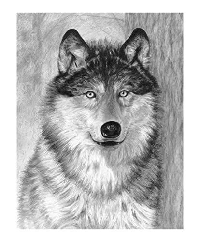 Pracht Creatives Hobby Royal & Langnickel - Sketching - Skizzieren leicht gemacht für Kinder ab 8 Jahren, das Bild mit einem Wolfmotiv bietet den idealen Einstieg ins ausdrucksstarke Zeichnen von Pracht Creatives Hobby