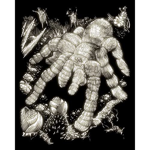 Royal & Langnickel - Kratzbild Tarantel, Glow in the Dark, Kratzbilder für Kinder und Erwachsene, mit Kratzstift und Vorlage Royal & Langnickel - Kratzbild Tarantel, Glow in the Dark, Kratzbilder für Kinder und Erwachsene, mit Kratzstift und Vorlage von Pracht Creatives Hobby