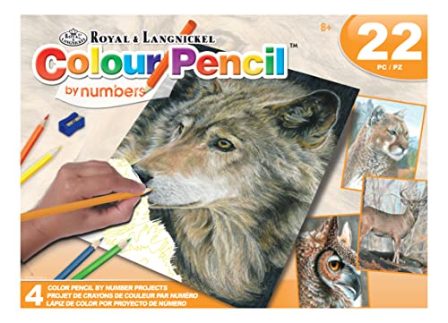 Royal & Langnickel - Malen nach Zahlen Kreuzfahrtschiff, enthält Farben und Pinsel, für Erwachsene und Kinder ab 8 Jahren von Pracht Creatives Hobby