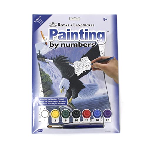 Pracht Creatives Hobby Royal & Langnickel - Malen nach Zahlen Weißkopf-Seeadler, enthält Farben und Pinsel, für Erwachsene und Kinder ab 8 Jahren Pracht Creatives Hobby Royal & Langnickel - Malen nach Zahlen Weißkopf-Seeadler, enthält Farben und Pinsel, für Erwachsene und Kinder ab 8 Jahren von Pracht Creatives Hobby
