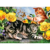 PRACHT Malen nach Zahlen Junior Spielende Katzen PRACHT Malen nach Zahlen Junior Spielende Katzen von Pracht Creatives