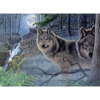 PRACHT Malen nach Zahlen Wölfe 40x32,5cm PRACHT Malen nach Zahlen Wölfe 40x32,5cm von Pracht Creatives