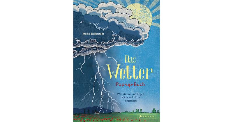 Buch - Das Wetter. Pop-up-Buch von Prestel Verlag