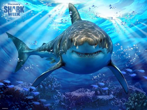 Discovery Channel Shark Week 3D Lenticular Puzzle - 500 Pieces von Prime3D