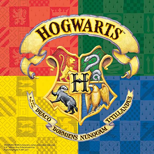 Procos 93366 - Papierservietten Harry Potter, 25x25 cm, FSC® Mix, Kindergeburtstag, Party-Geschirr von Procos