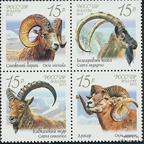 Prophila Collection Russland 1899-1902 Viererblock (kompl.Ausg.) postfrisch ** MNH 2013 Wildlebende Schafe und Ziegen (Briefmarken für Sammler) Sonstige Säugetiere (Affen/Dinos/Elephanten …) von Prophila Collection